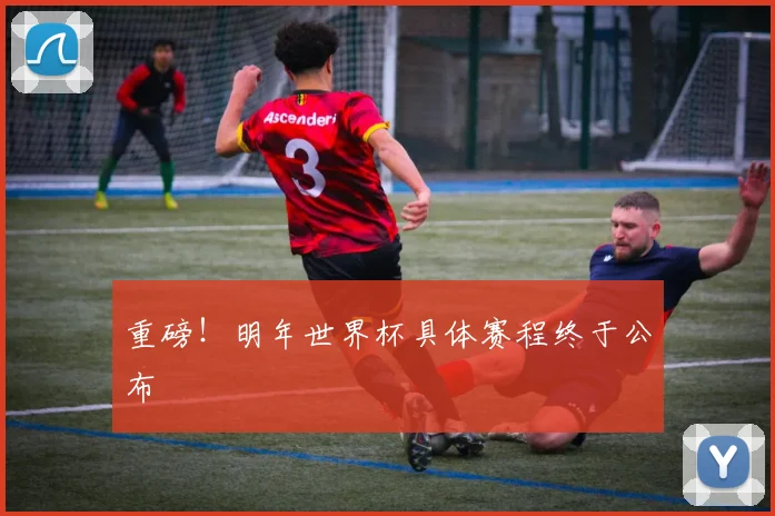 重磅！明年世界杯具体赛程终于公布